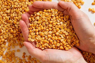 Yellow split peas in hand on a white background. Dry cereal for cooking.