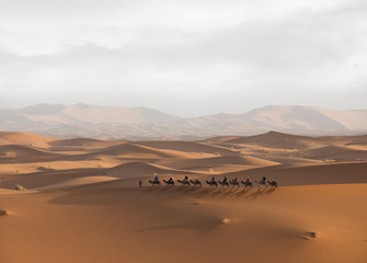 Sunrise in the desert with camel caravan