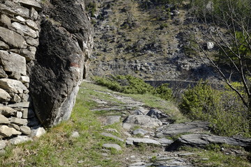 Path of Novalesa in the nature