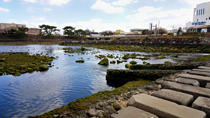 아름다운 한국의 제주도 월대 풍경