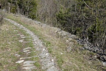 Path of Novalesa in the nature