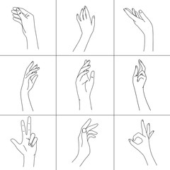 Set of woman hands line art. Collection of different hand position, gestures in minimalist style.