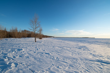 Fototapeta na wymiar Winter landscape without people, with trees and a far-away pipe of a thermal gas station