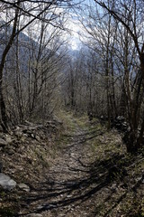 Obraz premium Path of Novalesa in the nature