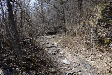 Path of Novalesa in the nature