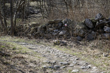 Path of Novalesa in the nature