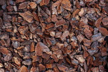 The texture of the pine bark of large and medium fractions