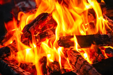a Fire with coals and fire on nature picnic background. Burns out a bonfire for food on the street