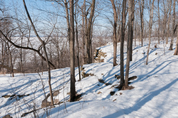 Niagara Escarpment at High Cliff State Park, winter.