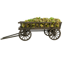 Harvest of bananas collected in a wooden cart