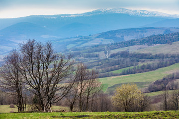 Fototapeta na wymiar View of the mountain slopes in an early spring morning. Beautiful nature landscape. Carpathian mountains. Ukraine