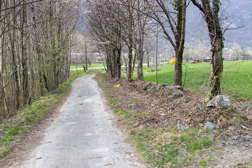 Fototapeta premium Path of Novalesa in the nature