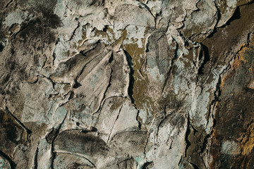 concrete background for logo
