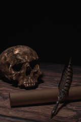 Old quill pen with old paper scroll and human skull on the dark wooden table