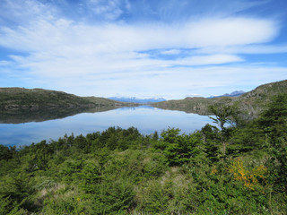 Torres del Paine, Patagonia, Chile: Forest and mountain view at lake Sköttsberg