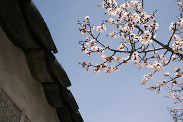 Kyeongbokgung Palace (Main Royal Palace of Joseon Dynasty) and its architectural patterns
