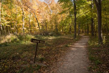 Native American mounds on the Niagara Escarpment at High Cliff State Park, Calumet County, WI