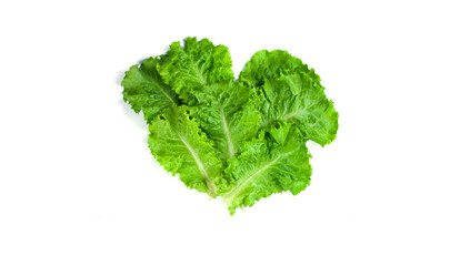 Fresh two lettuce leaves are laid out to form the heart and isolated on a white background.