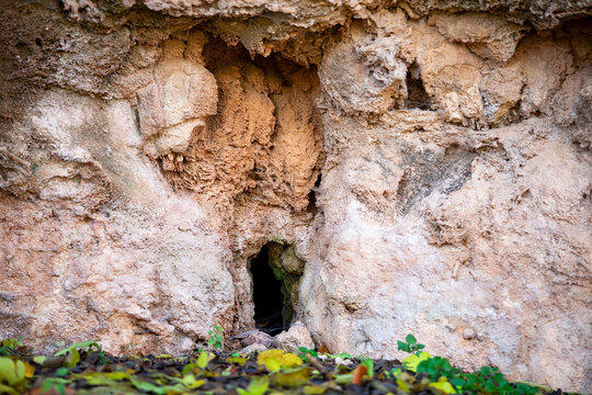 Gruta en pared calc&aacute;rea