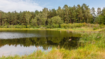 Fototapeta na wymiar Rural landscape with lake, forest surrounding, green grass on the lake shore. Relaxation on summer day