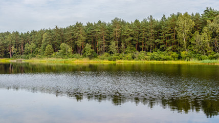 Rural landscape with lake, forest surrounding, green grass on the lake shore. Relaxation on summer day