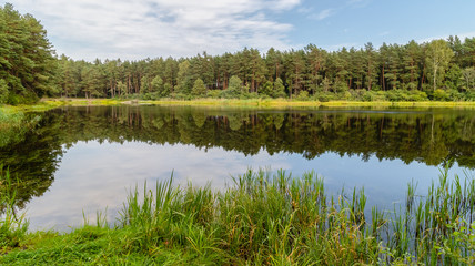 Fototapeta na wymiar Rural landscape with lake, forest surrounding, green grass on the lake shore. Relaxation on summer day