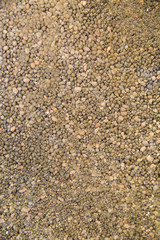 Expanded clay of a small fraction of brown color in the form of round pellets, construction, textures, design.