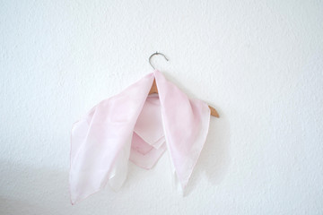 Pink cloth on a wooden hanger - silk texture - text space