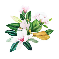 Magnolia and leaves, bright watercolor bouquet, hand drawn