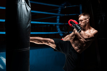 Kickboxer kicks the bag. Training a professional athlete. The concept of mma, wrestling, muay thai.