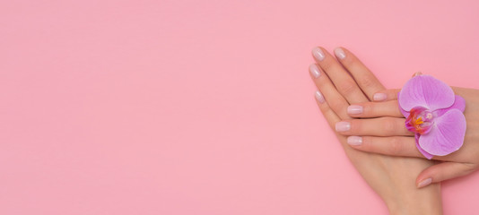 Female hand with orchid flower isolated on pink background. French, delicate manicure.