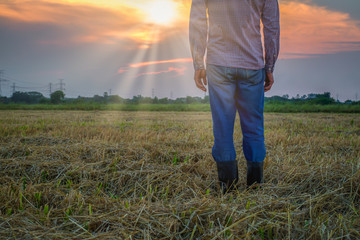 Rear view of farmer's fee standing in field at sunset, looking at field activity