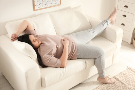 67 325 Best Sleeping Sofa Images Stock Photos Vectors Adobe Stock