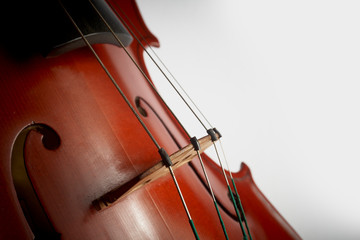 photograph violin bridge with tensioned strings, inclined angle