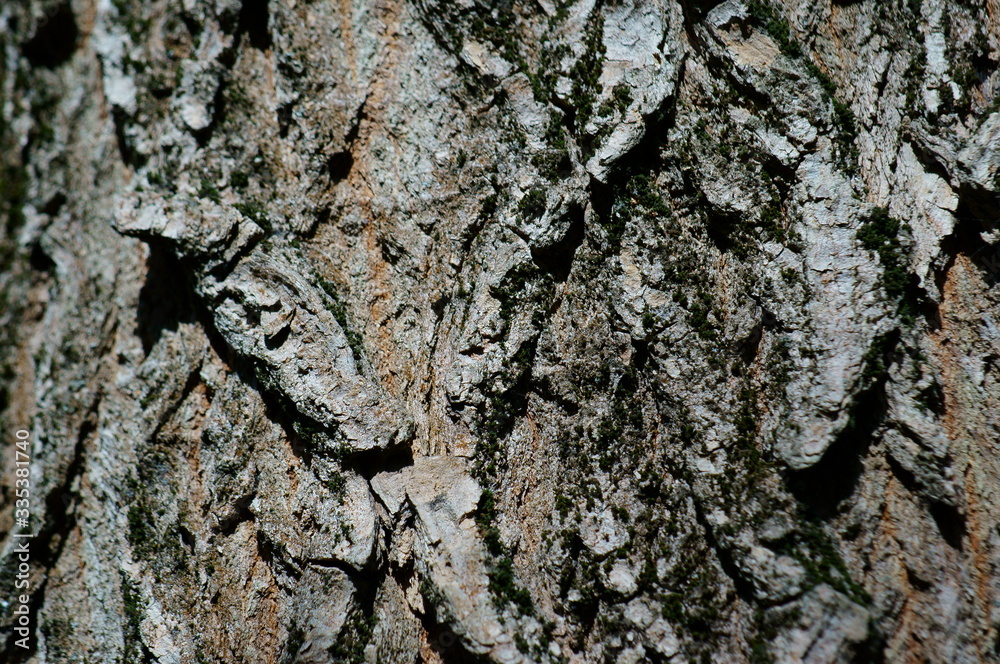 Sticker tree bark texture