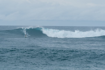 ハワイの海でサーフィン