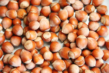 hazelnuts on a wooden background