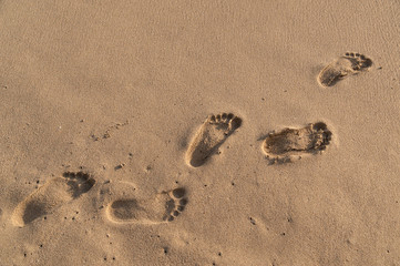 Fototapeta na wymiar ハワイ　砂浜の足跡