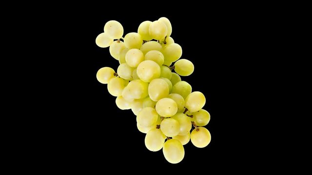 Alpha channel, 32 bit. Creative 4k stop motion video of various fruits close-up quickly flickering in turn on an isolated white background. Seamless loop. Ability to use any background.