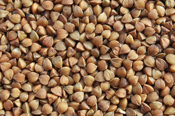 Background of dried buckwheat.