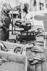 Fish Market Marroko 