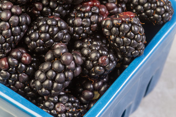 blackberries in a bowl