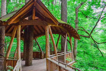 Tree House Deck with Arch Roof and Railing in Forrest
