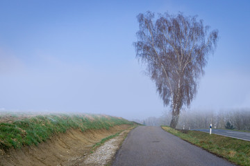 Der Nebel löst sich auf