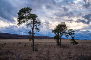 Landschaft im Fr&uuml;hling