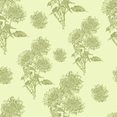 pattern seamless with sunflowers. Graphic hand-drawn ink illustration. Plants nature, sunflower oil and seeds. Print textile