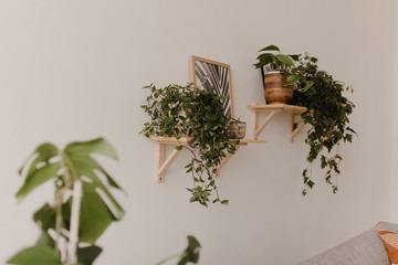 Home flowers