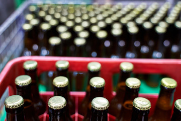 Group of capped beers lined in plastic boxes in a brewery