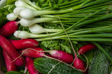 Fresh vegetables, ingredients for spring salad, radishes with green onion and cucumbers