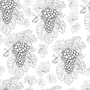 Grapes bunch leaves branch graphic pattern seamless